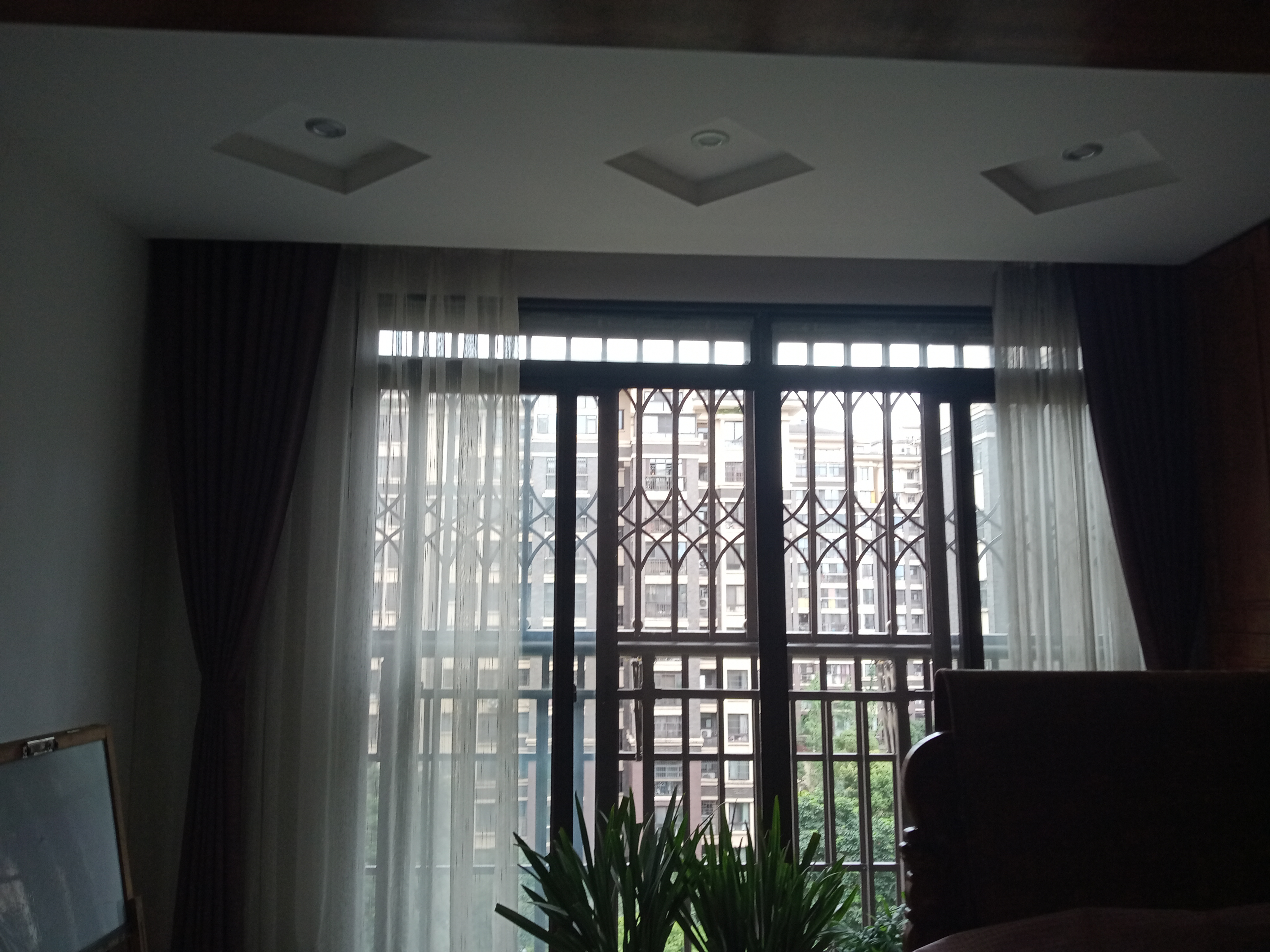 IMG20250630133959_01.jpg