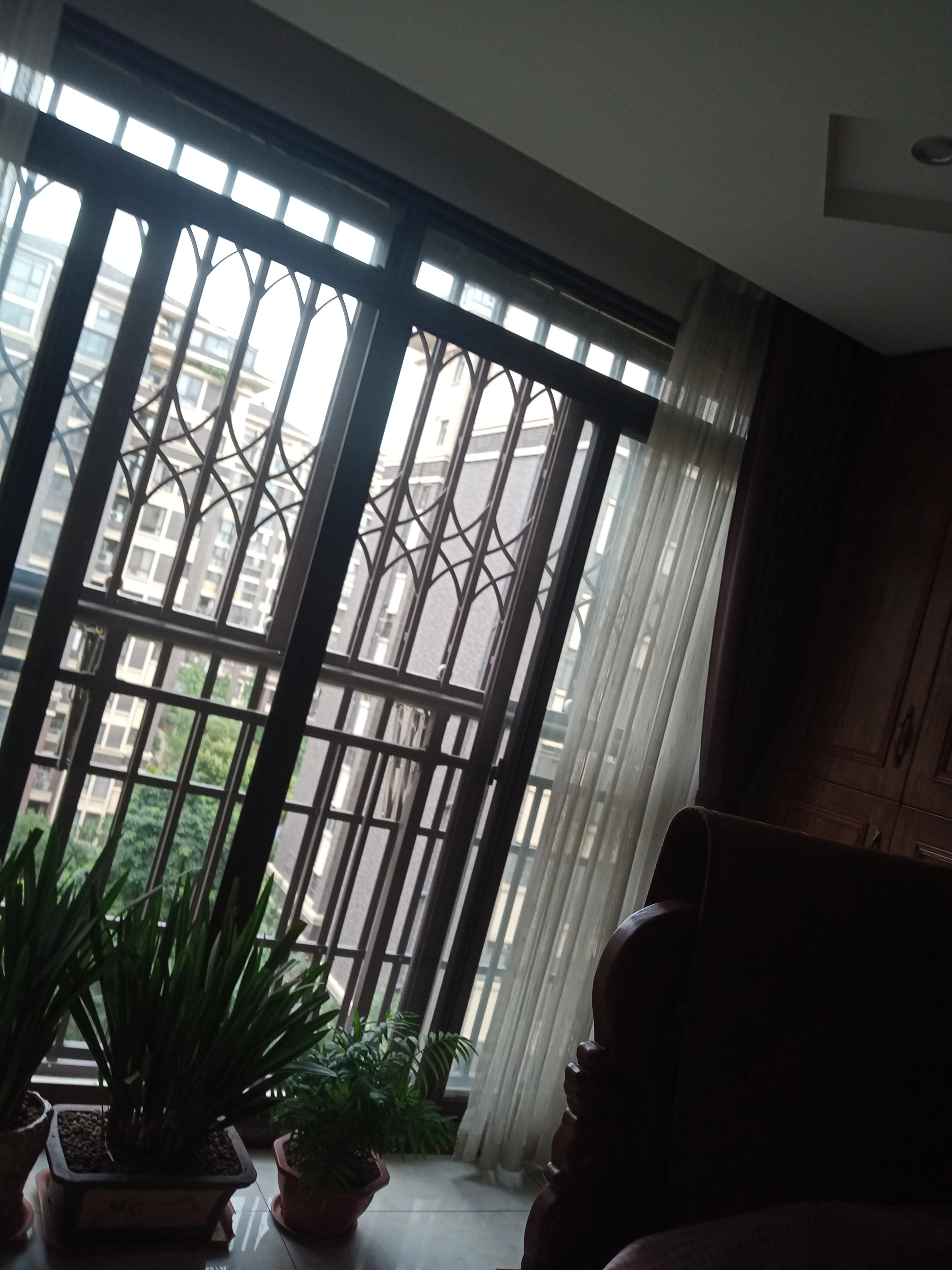 IMG20250630135744_06.jpg