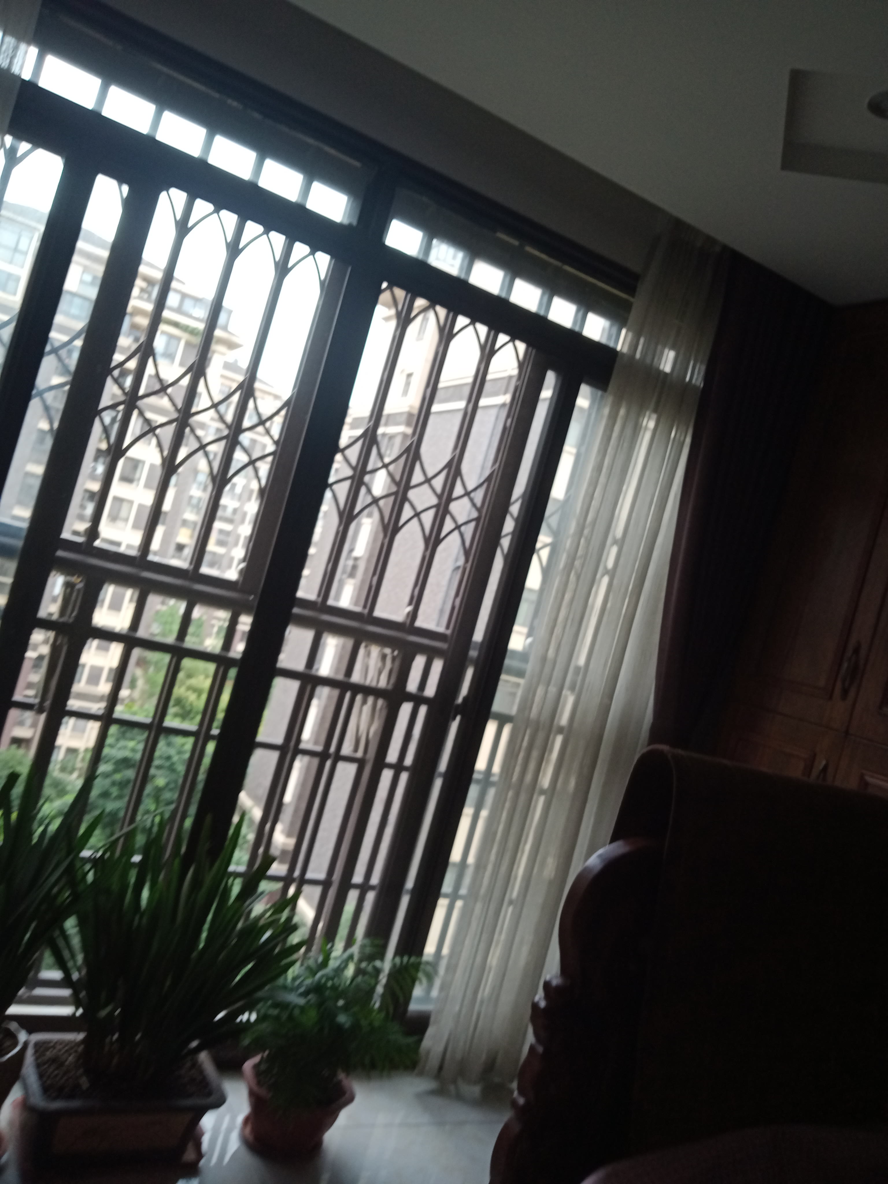 IMG20250630135744_07.jpg