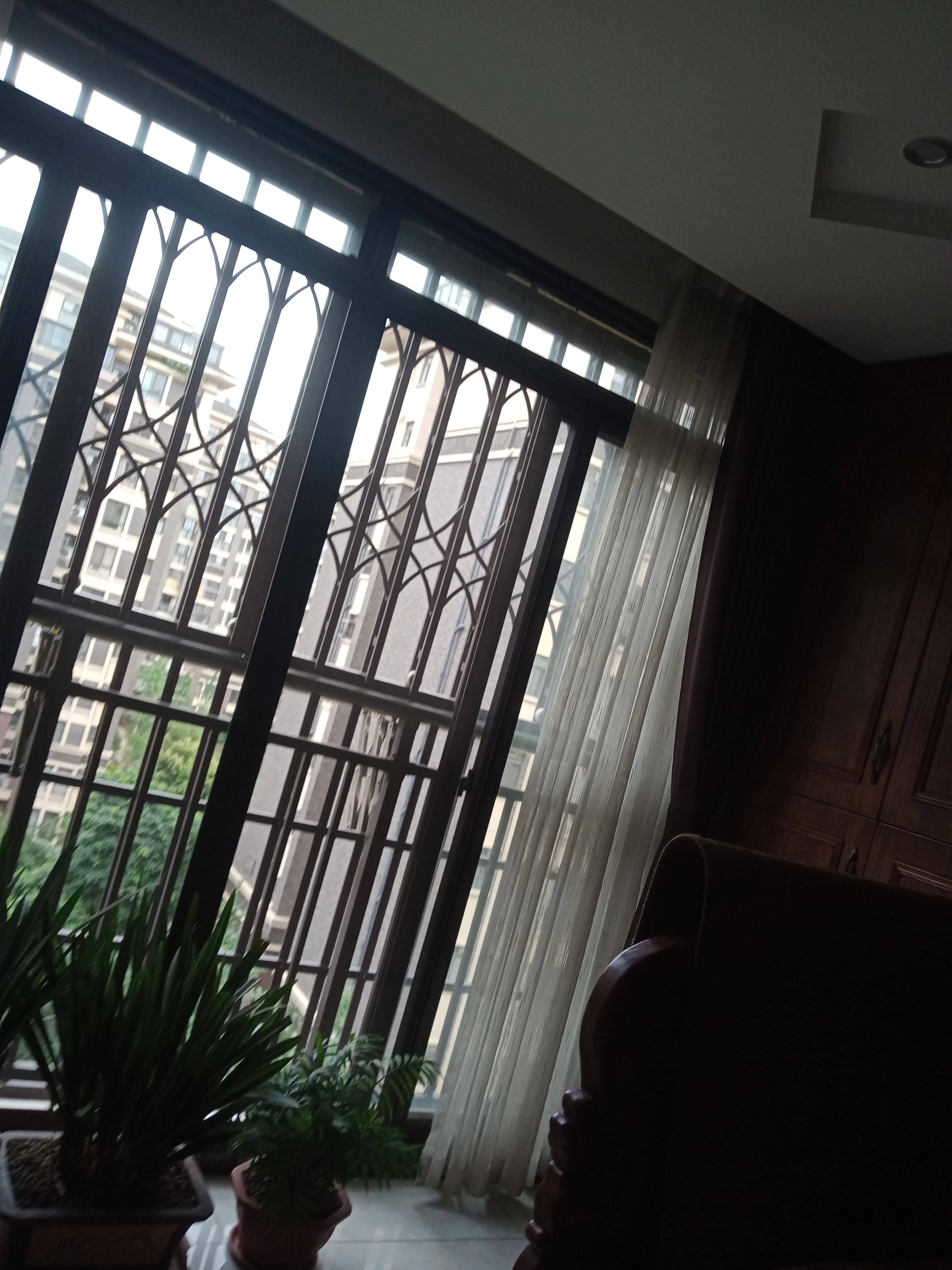 IMG20250630135744_08.jpg