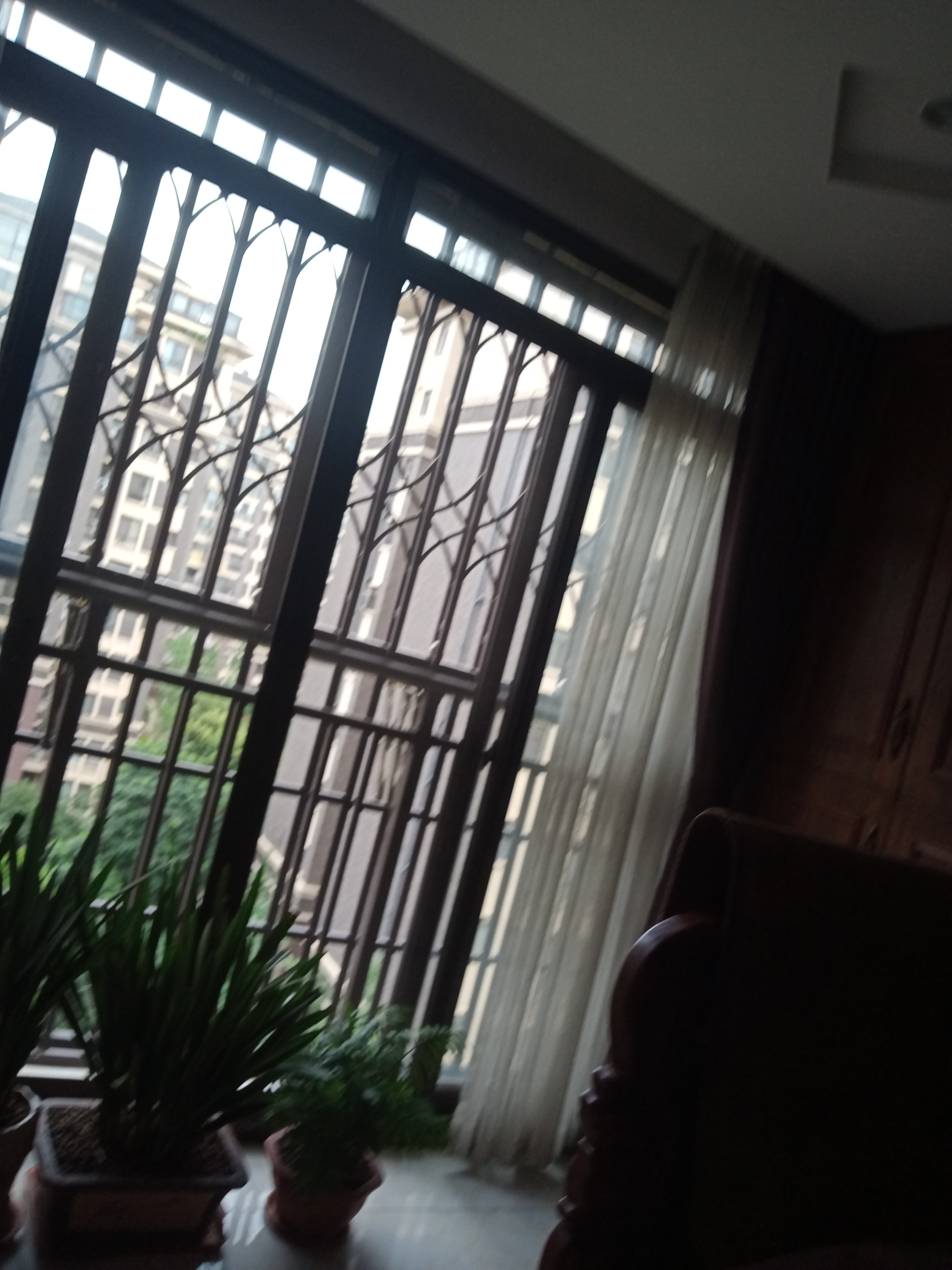 IMG20250630135744_09.jpg