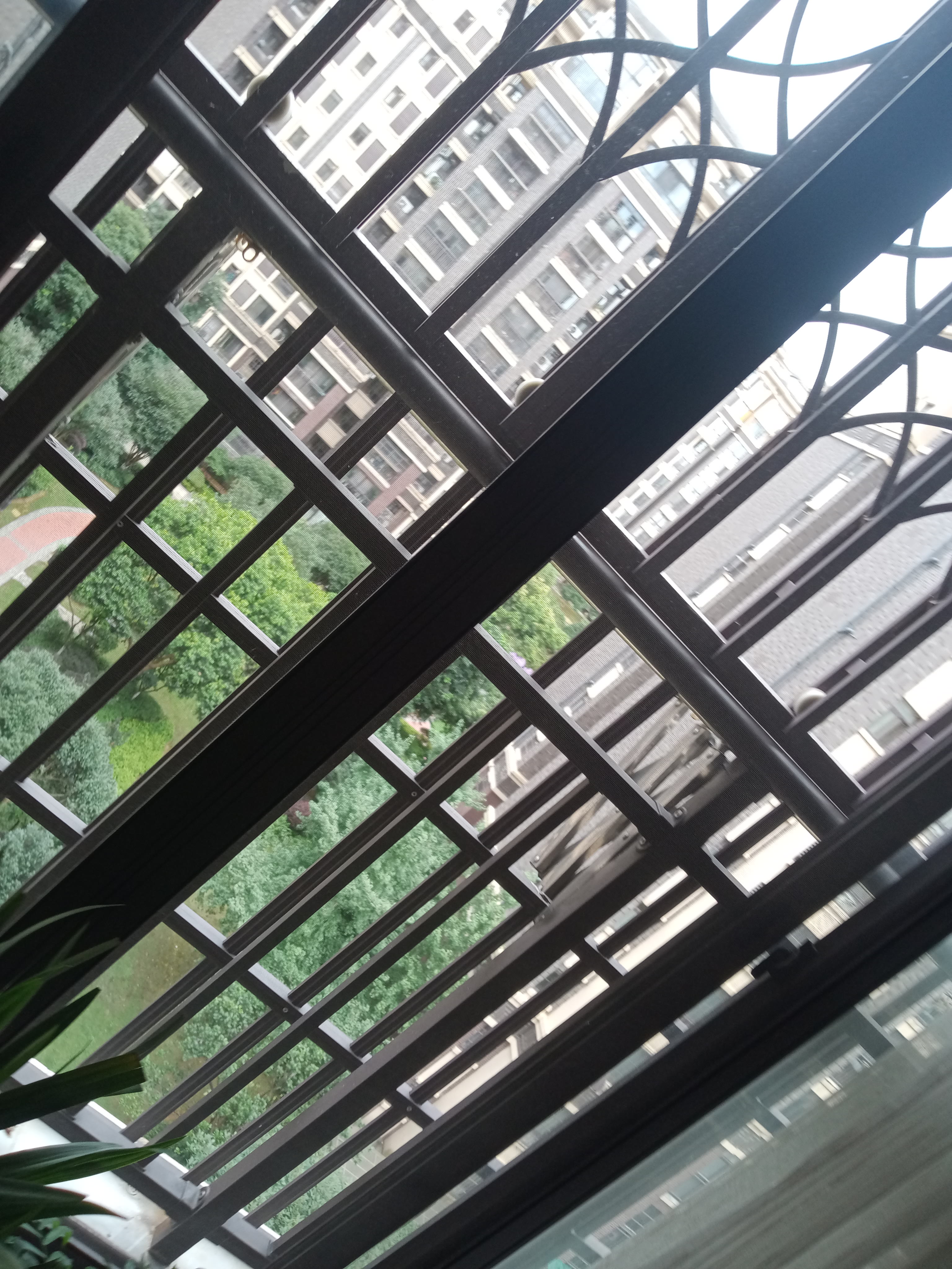 IMG20250630135746_03.jpg