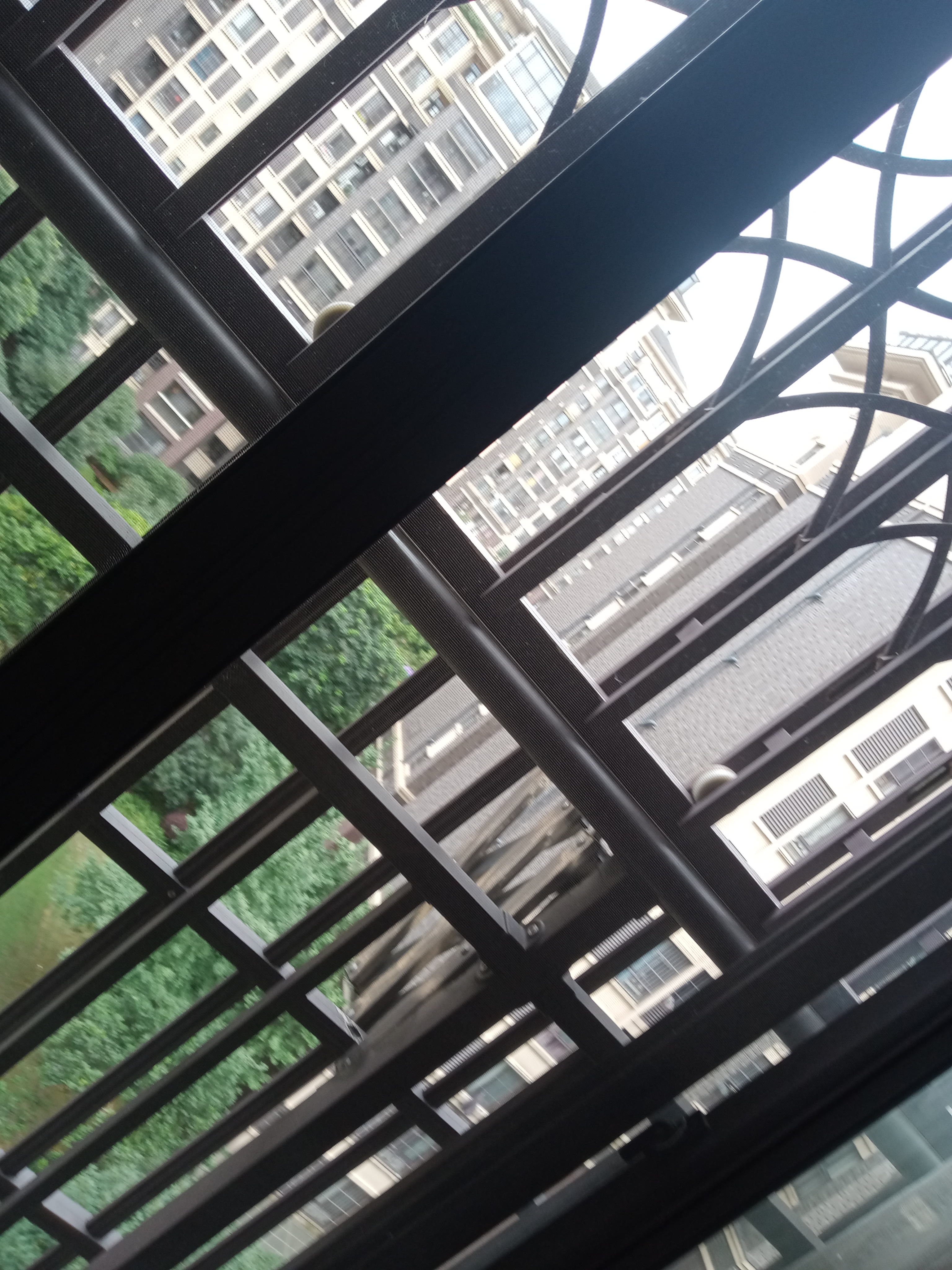 IMG20250630135747_02.jpg