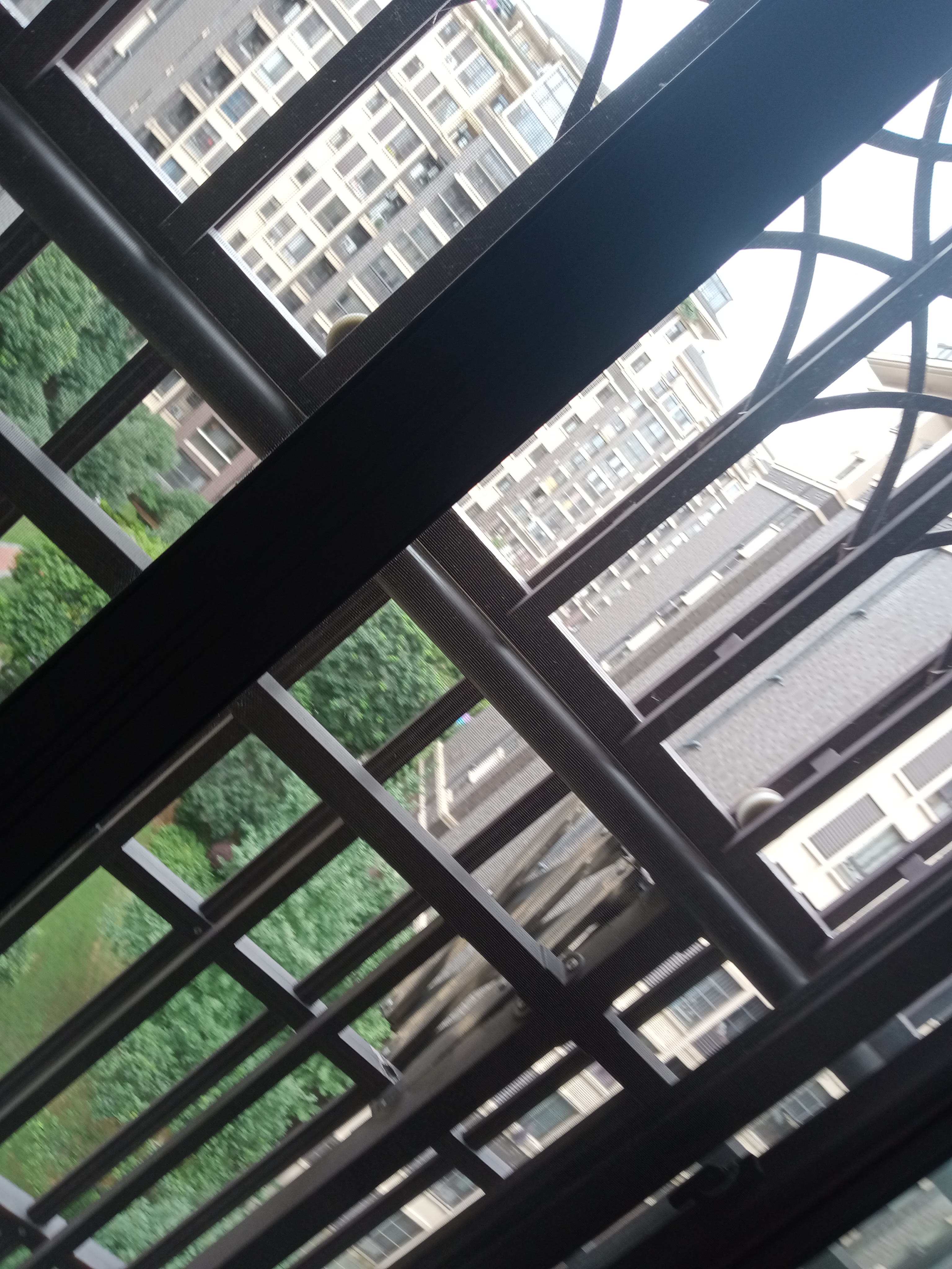 IMG20250630135747_03.jpg
