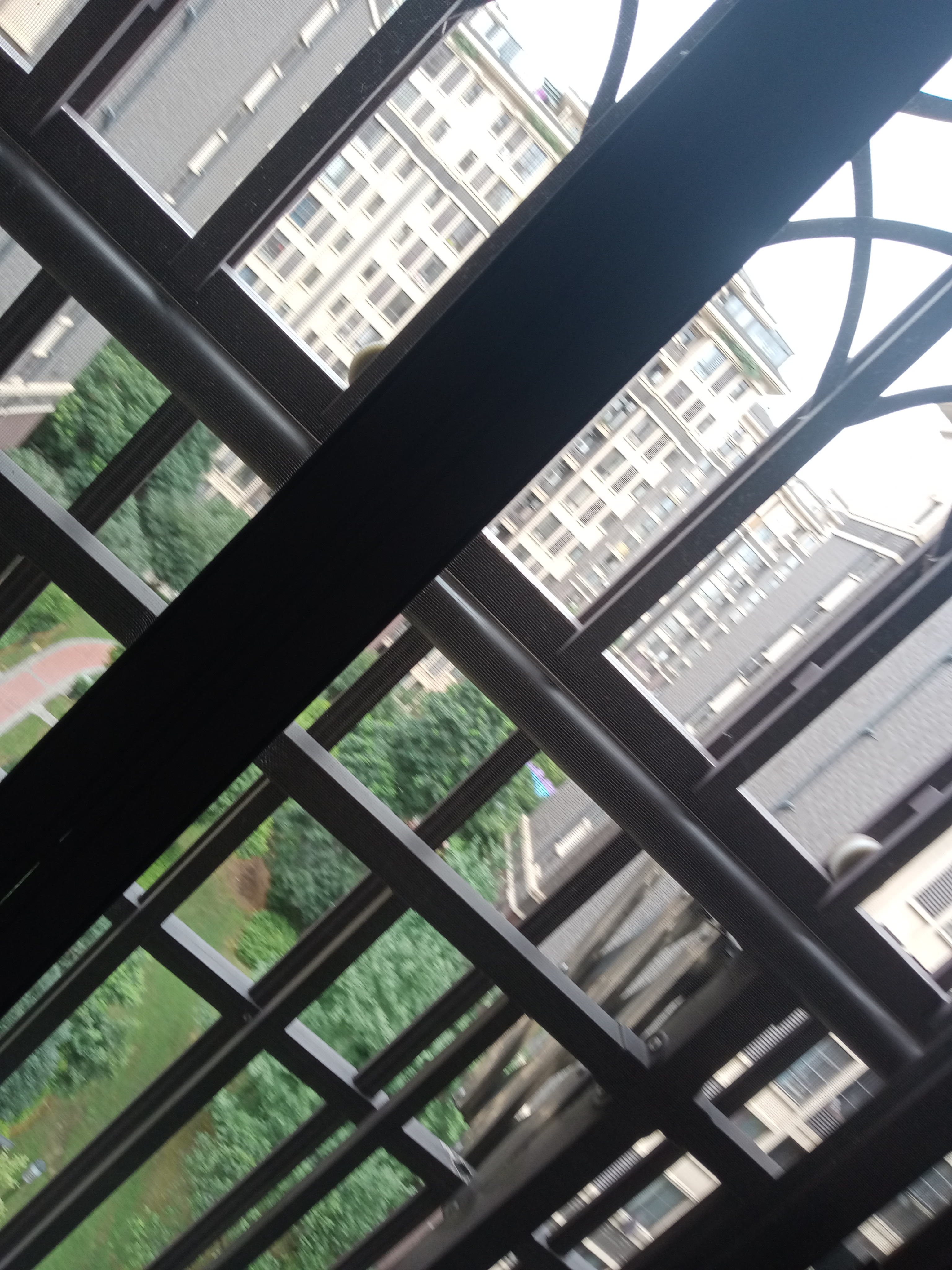 IMG20250630135747_05.jpg