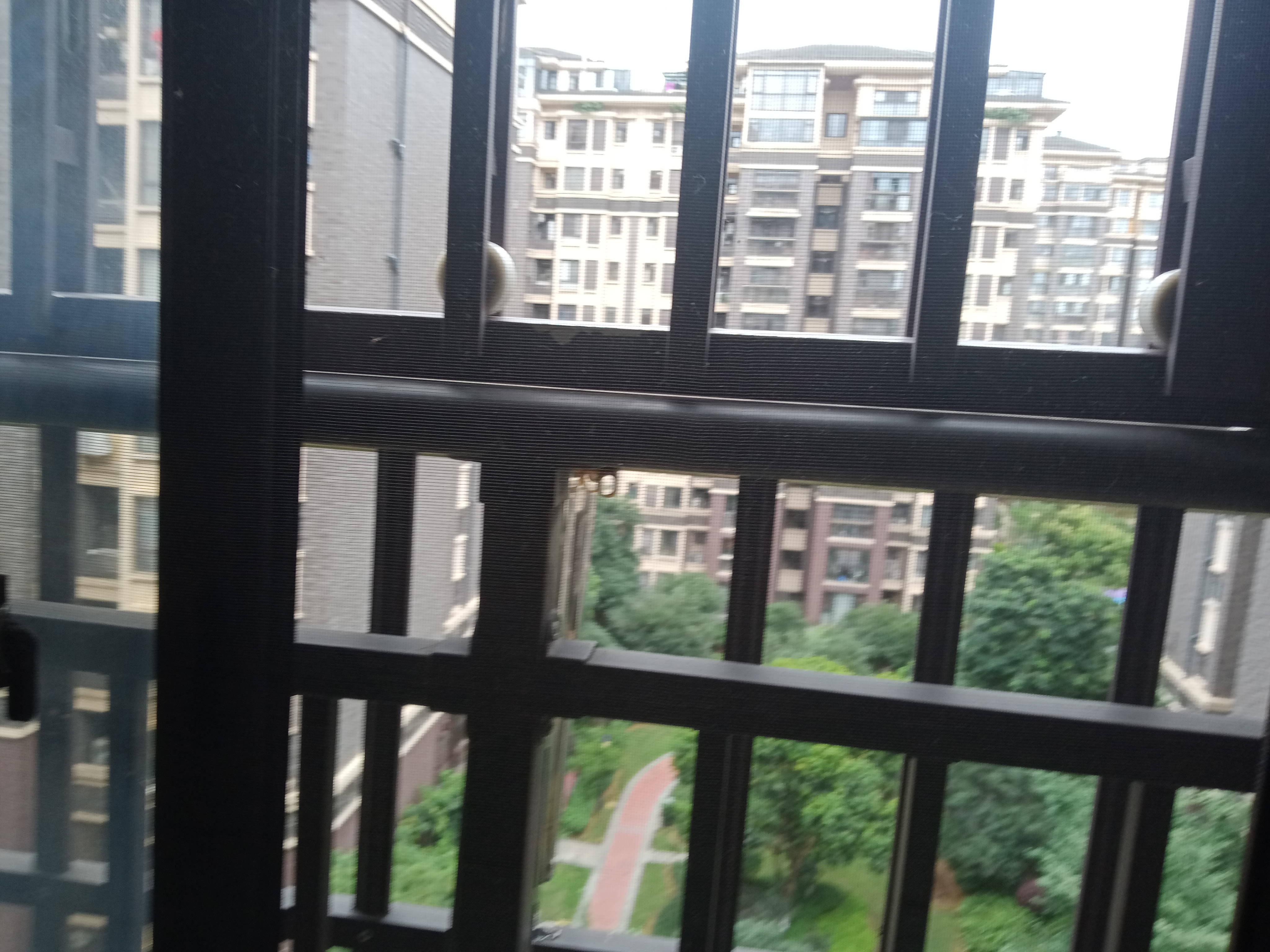 IMG20250630135755_03.jpg