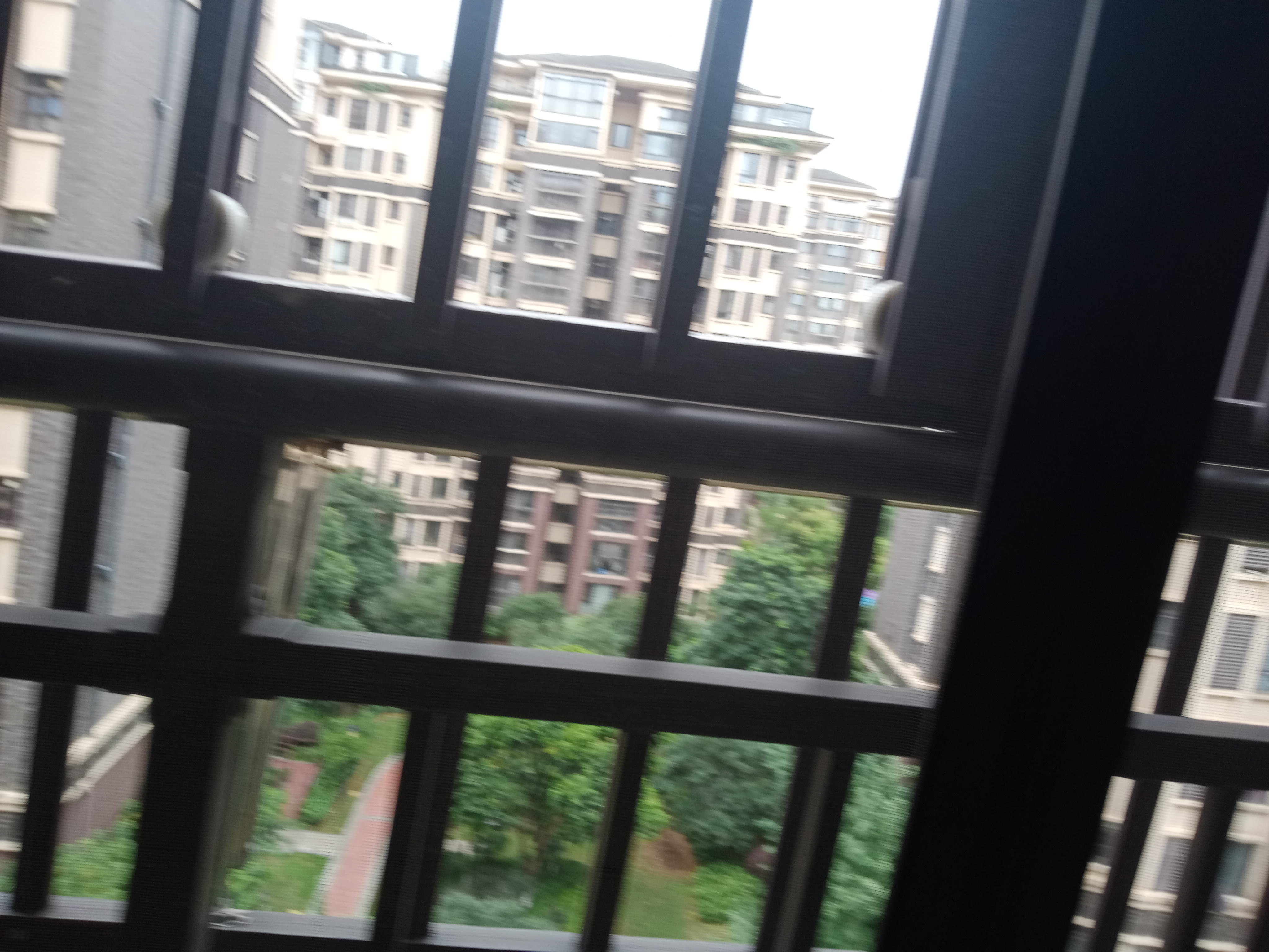 IMG20250630135755_05.jpg