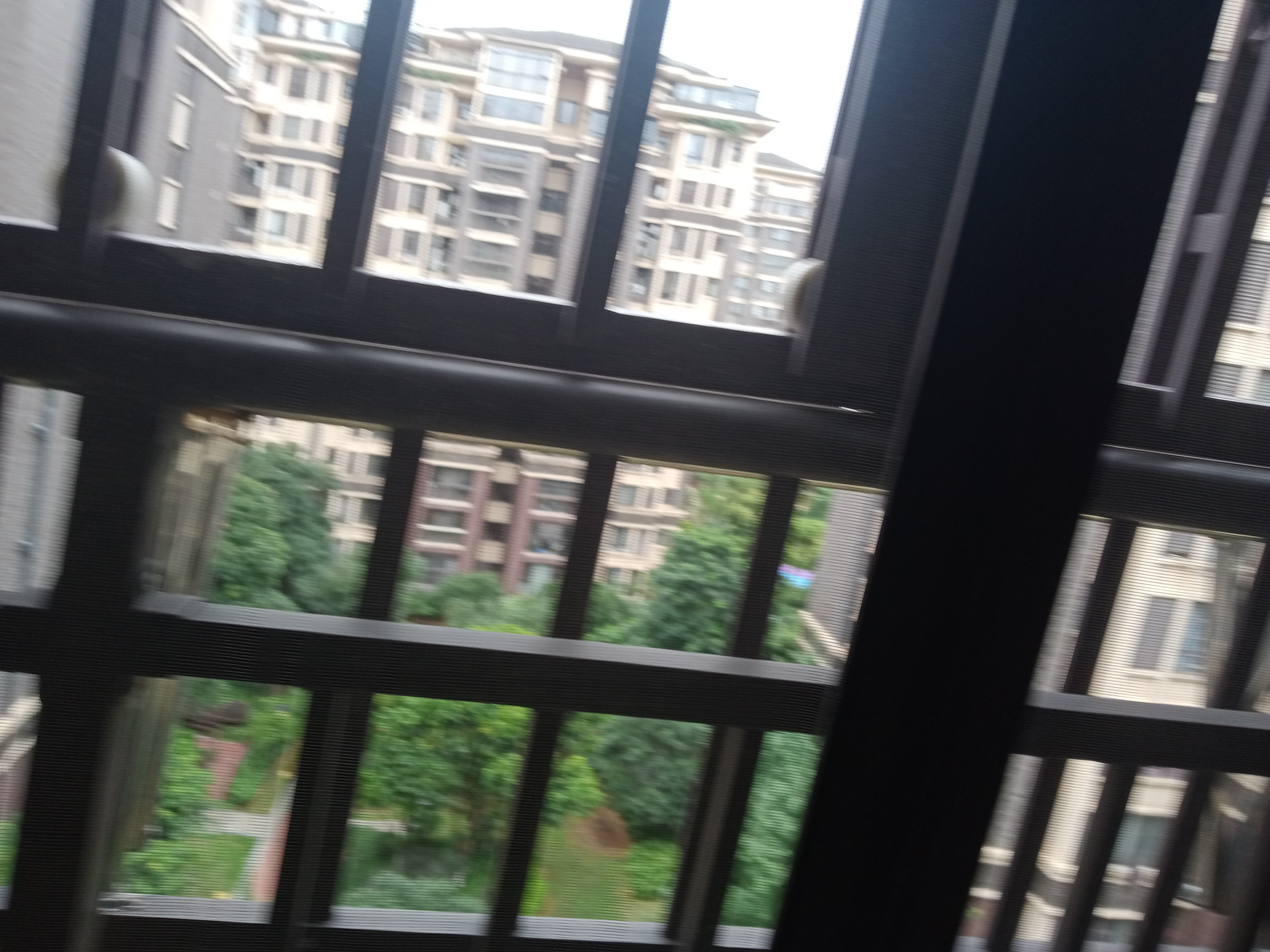 IMG20250630135755_06.jpg