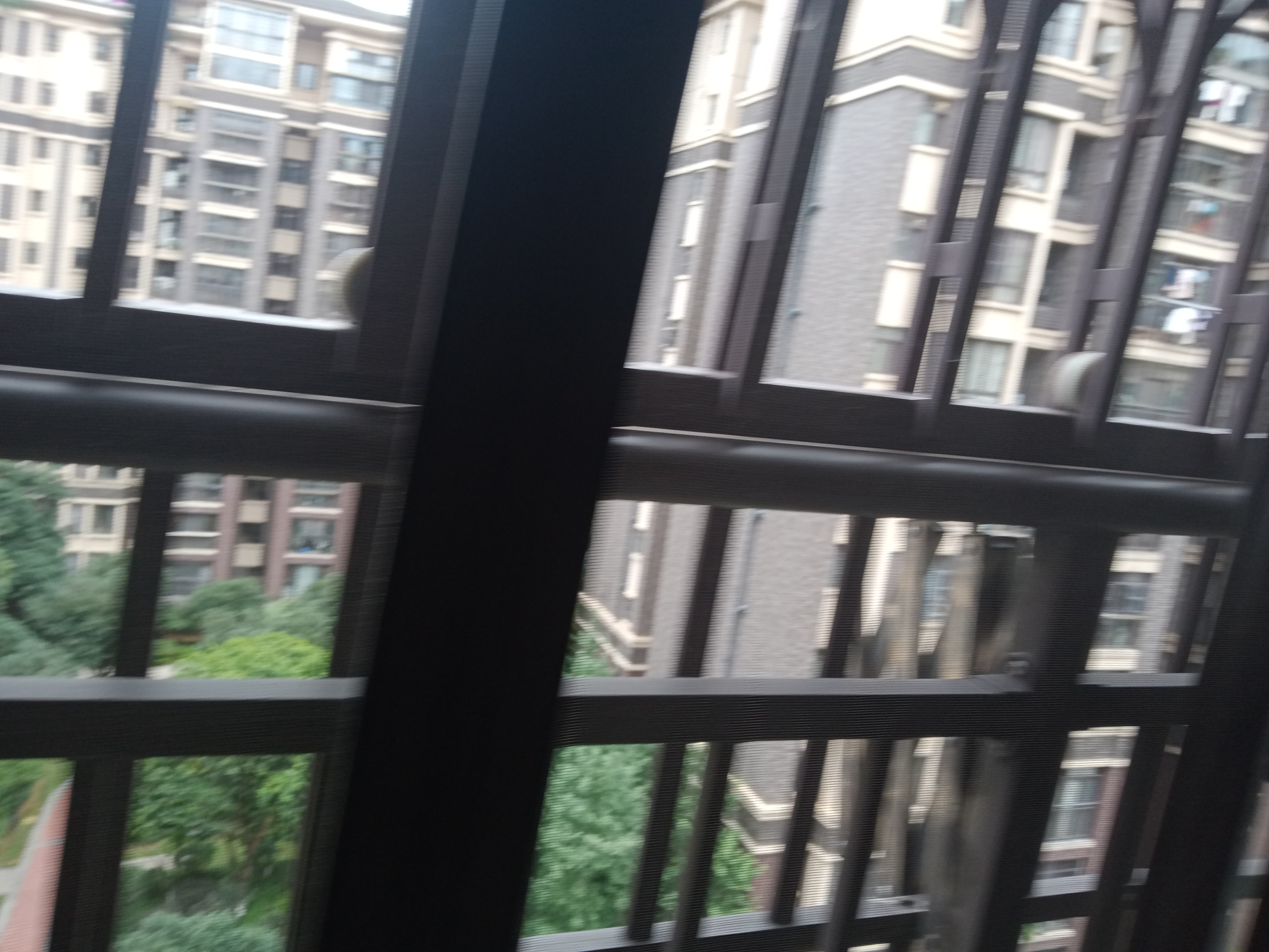 IMG20250630135755_08.jpg