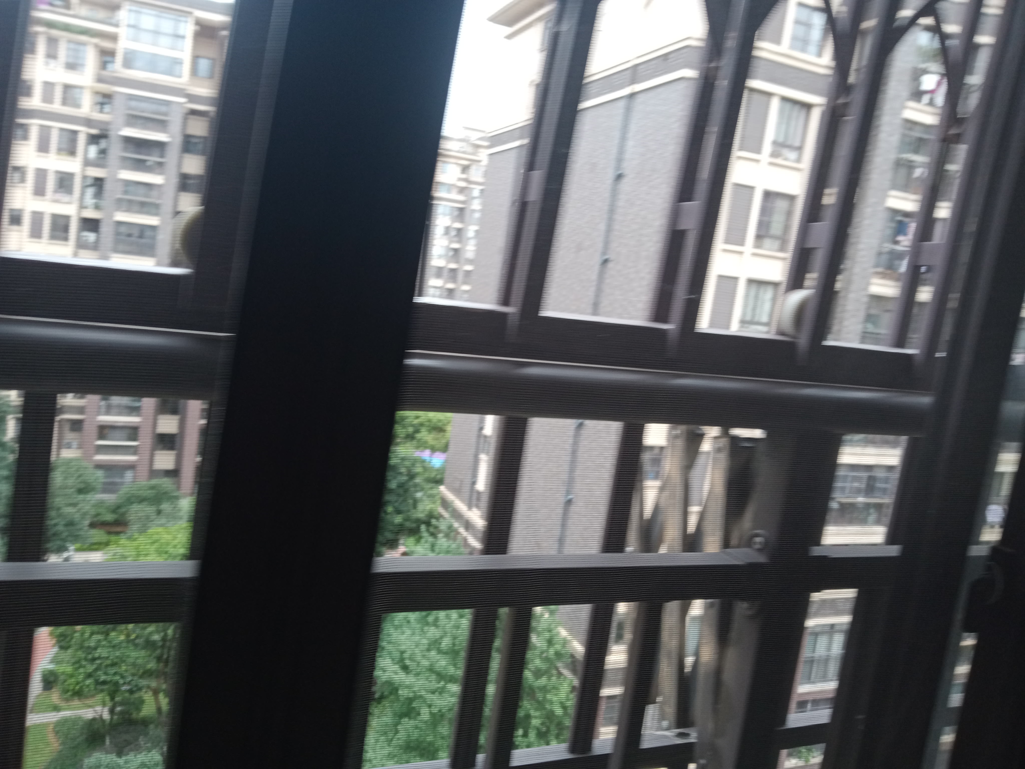 IMG20250630135755_09.jpg