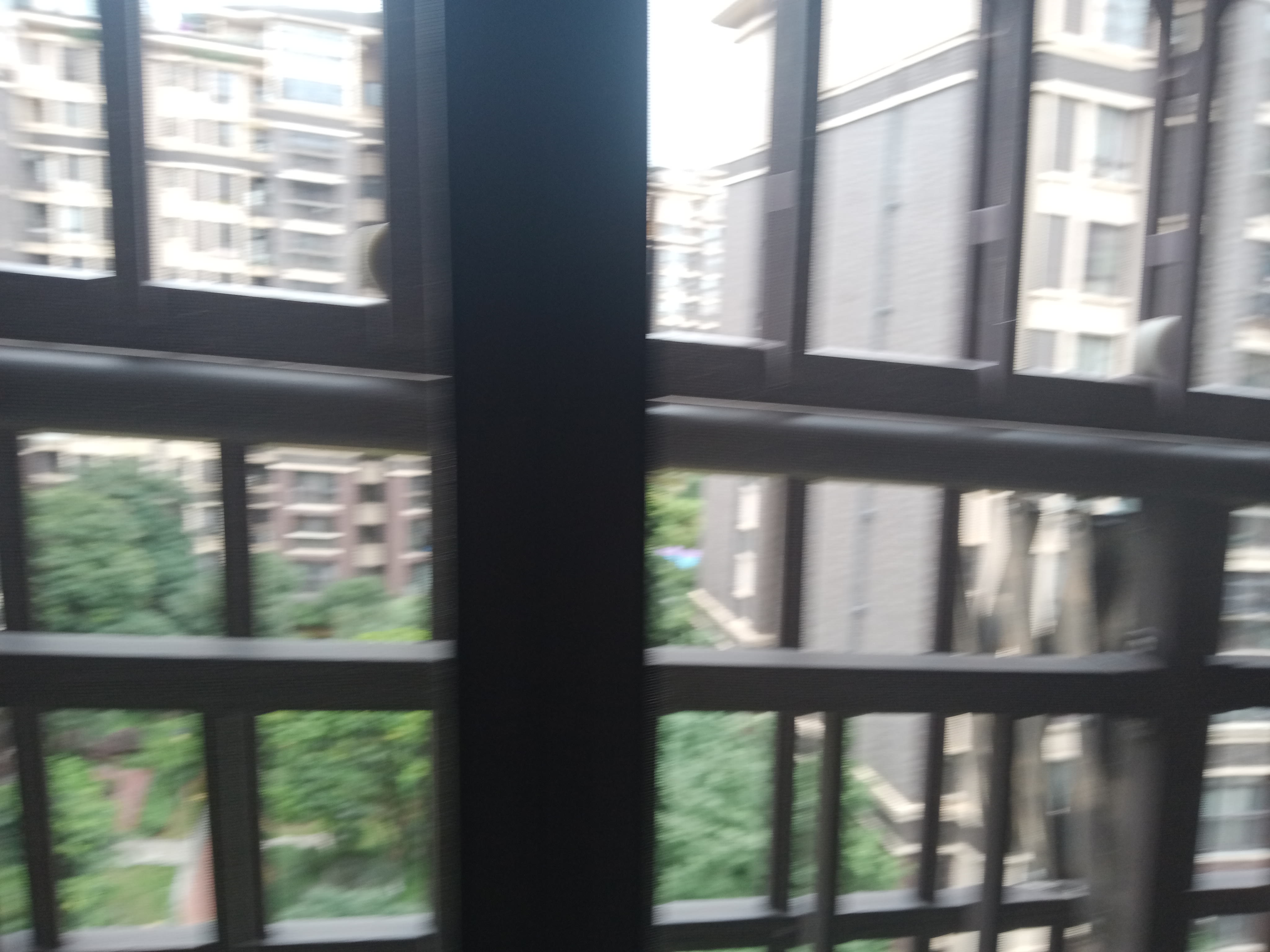 IMG20250630135755_10.jpg
