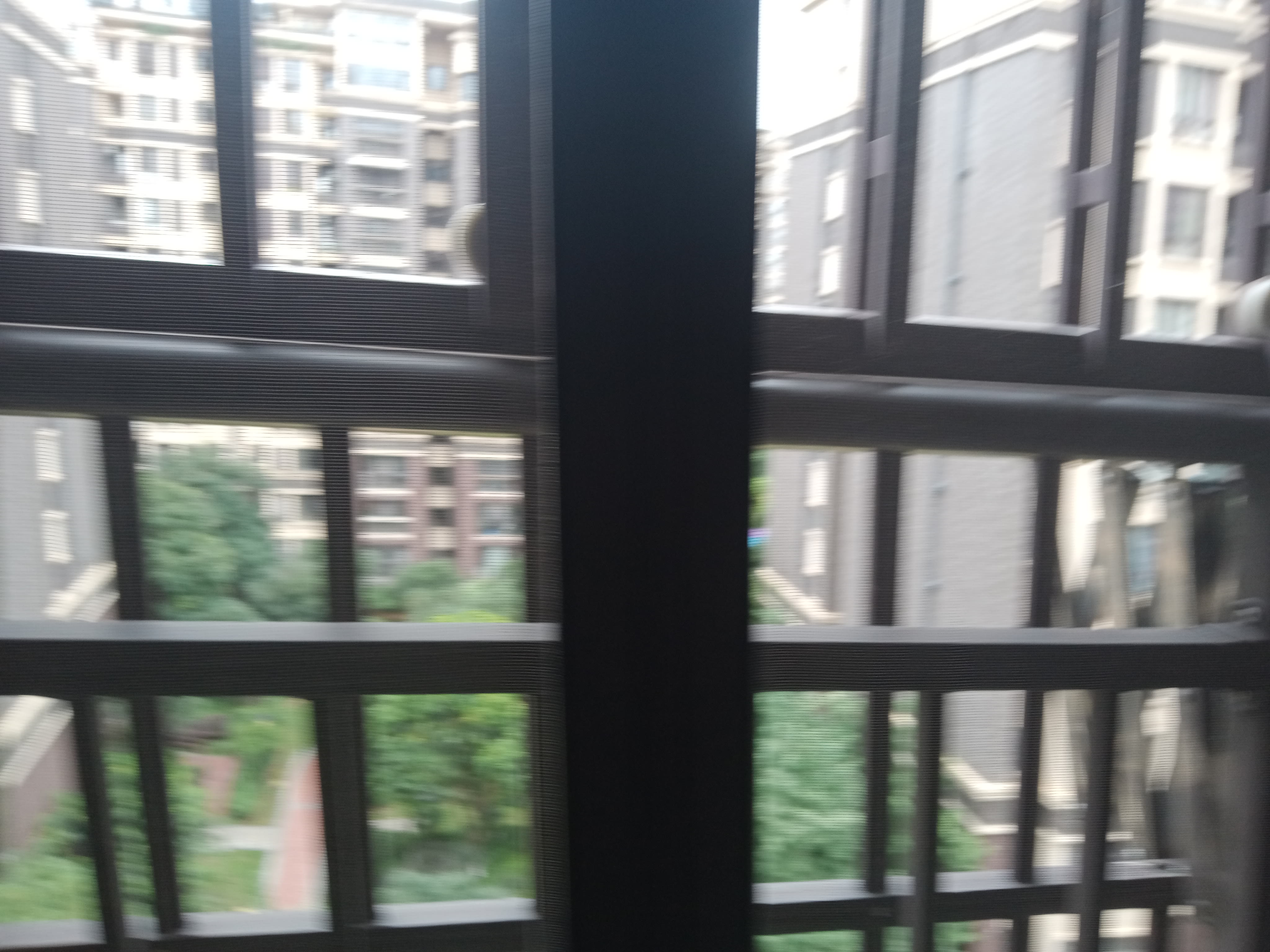 IMG20250630135756.jpg