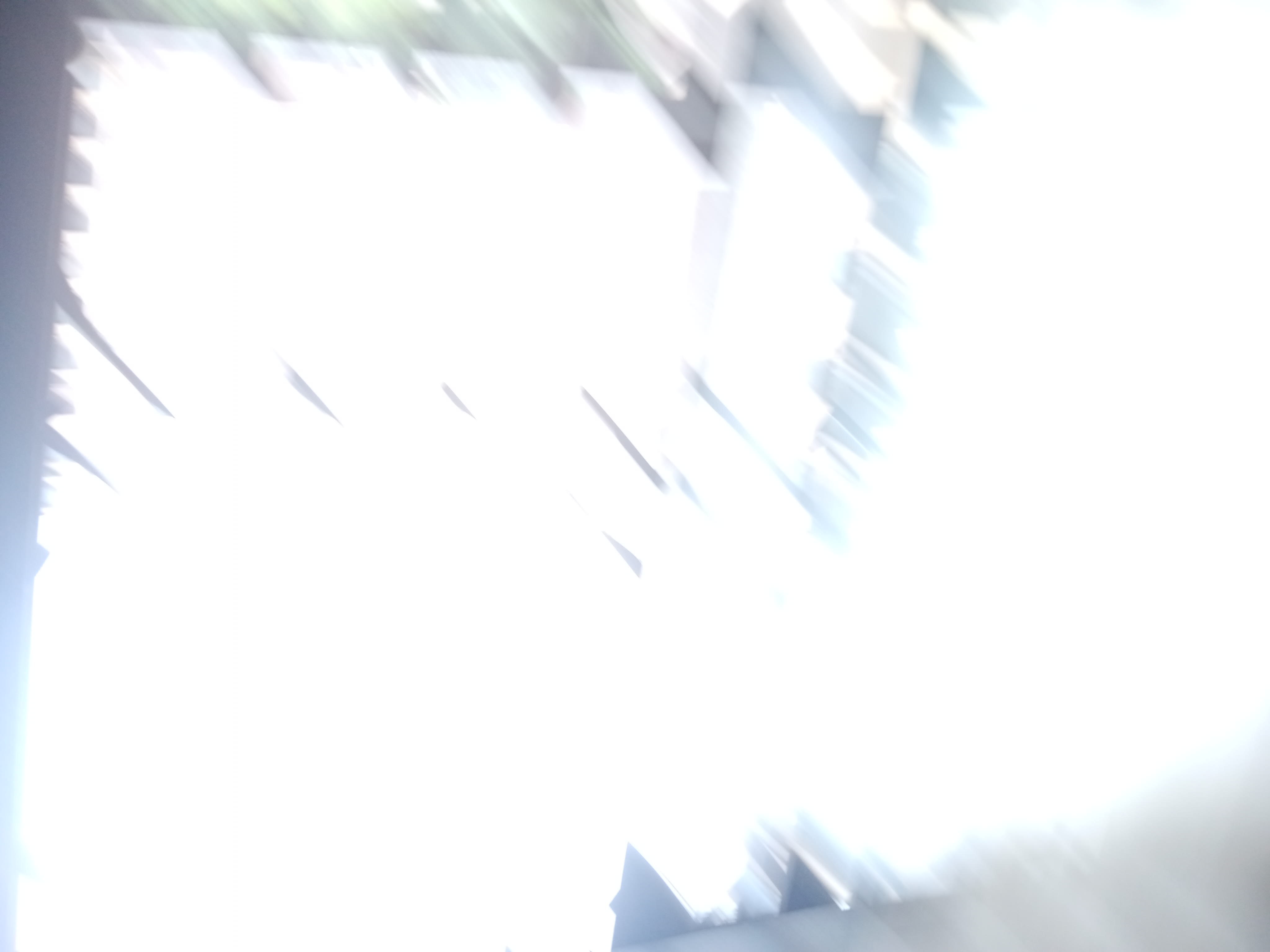 IMG20250630135758_05.jpg