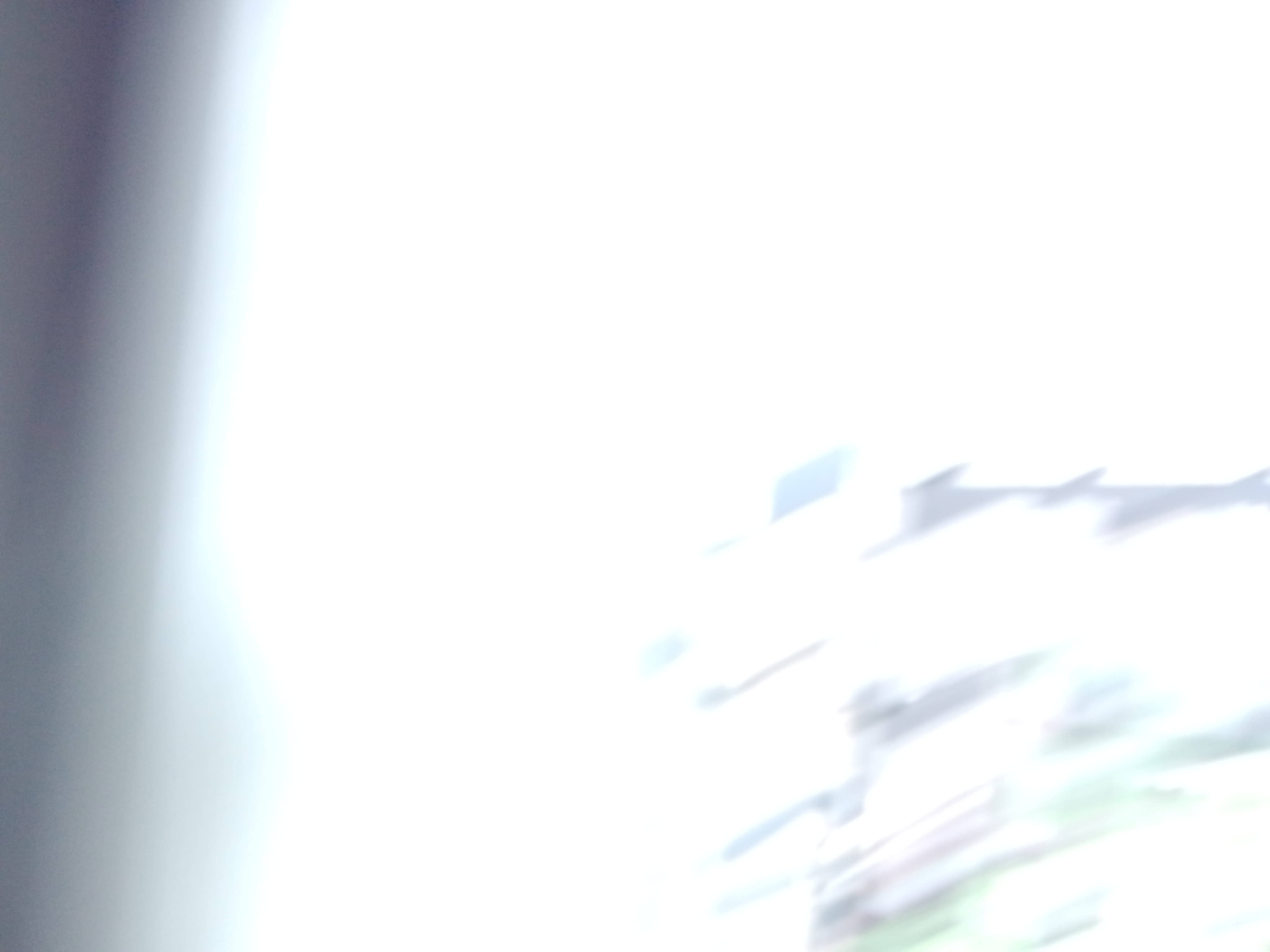 IMG20250630135801_07.jpg