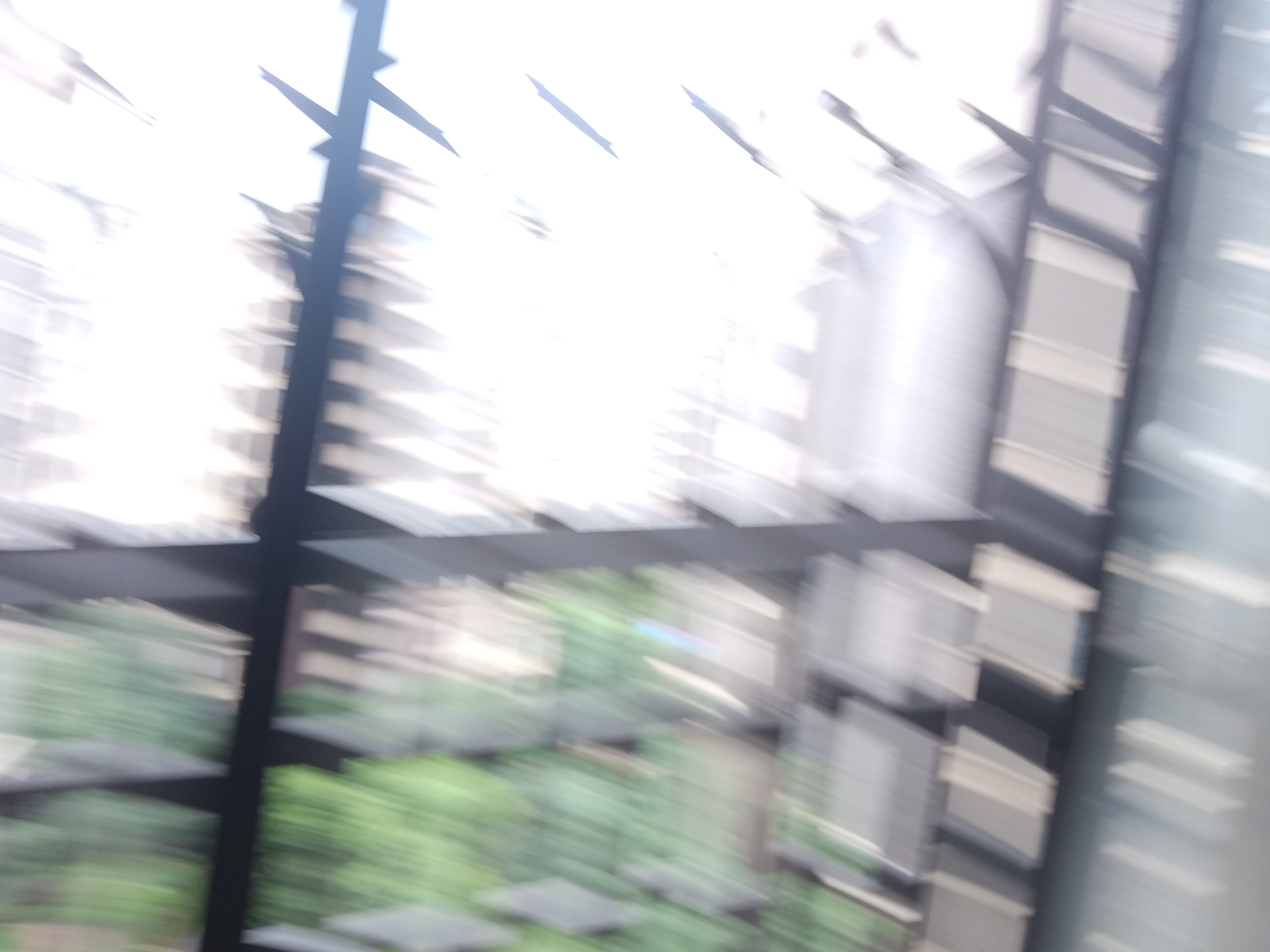 IMG20250630135801_09.jpg