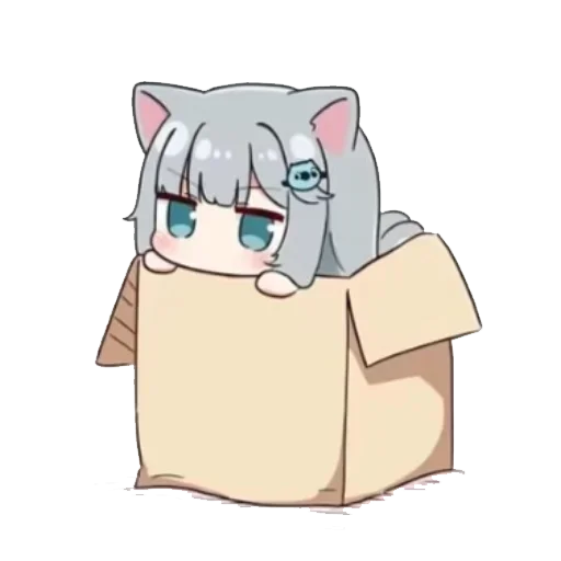 猫箱.png
